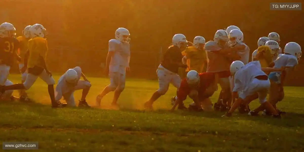 数据与激情同频，专业共欢乐一色！📊🎉 用科技解锁体育新视角！